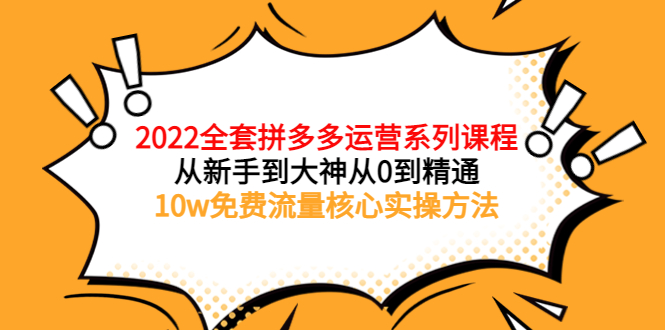 【副业项目4045期】2022全套拼多多运营课程：新手怎么做拼多多电商，10w免费流量核心实操方法-天下副业