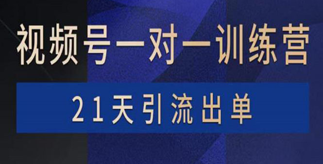 【副业项目4068期】视频号训练营：带货，涨粉，直播，游戏，四大变现新方向，21天引流出单-天下副业
