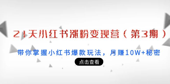 【副业项目4158期】21天小红书涨粉变现营（第3期）：带你掌握小红书爆款玩法，月赚10W+秘密-天下副业