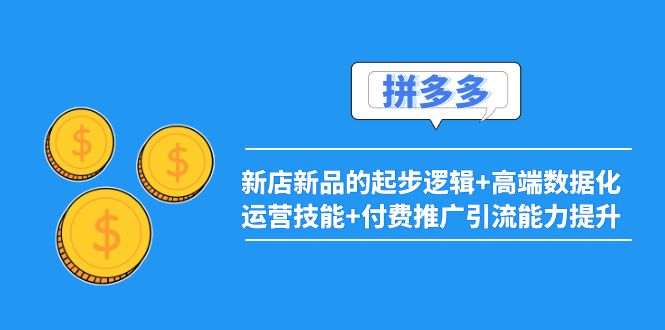 【副业项目4181期】2022拼多多：新店新品的起步逻辑+高端数据化运营技能+付费推广引流能力提升-天下副业