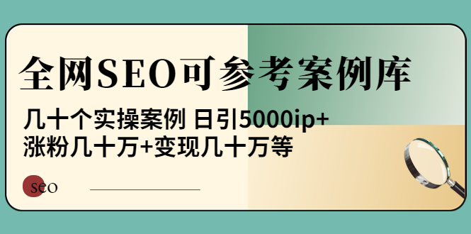 【副业项目4188期】《全网SEO可参考案例库》几十个实操案例 日引5000ip+涨粉百W+变现几十W等-天下副业