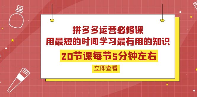 【副业项目4189期】拼多多运营必修课：20节课每节5分钟左右，用最短的时间学习最有用的知识-天下副业