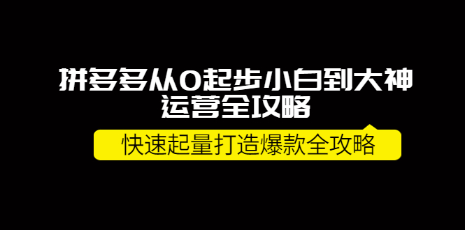 【副业项目4227期】拼多多从0起步小白到大神运营全攻略，快速起量打造10W+爆款全攻略-天下副业