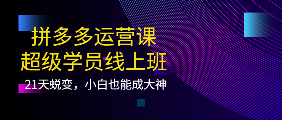 【副业项目4260期】拼多多运营课：超级学员线上班，21天蜕变，小白也能成大神-天下副业