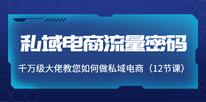 【副业项目4297期】私域电商流量密码：千万级大佬教您如何做私域电商（12节课）-天下副业