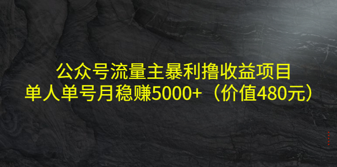 【副业项目4325期】公众号流量主暴利撸收益项目，单人单号月稳赚5000+（价值480元-天下副业