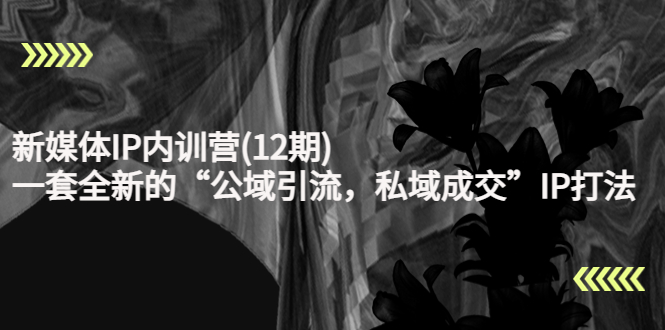 【副业项目4405期】新媒体IP内训营(12期)：一套全新的“公域引流，私域成交”IP打法，直接带走-天下副业