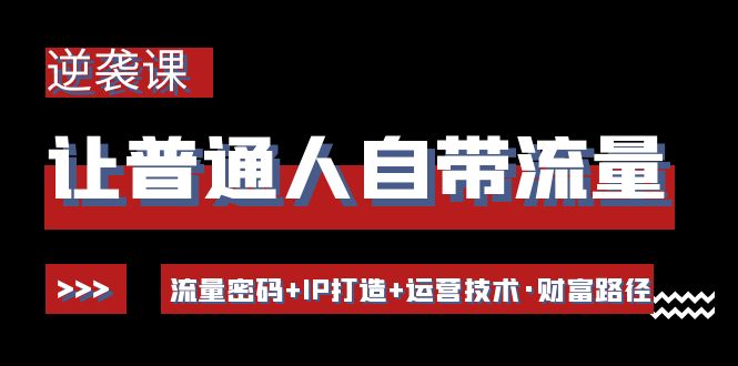 【副业项目4534期】让普通人自带流量的逆袭课：流量密码+IP打造+运营技术·财富路径-天下副业