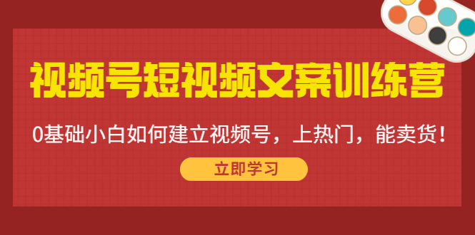 【副业项目4549期】视频号短视频文案训练营：0基础小白如何建立视频号，上热门，能卖货-天下副业