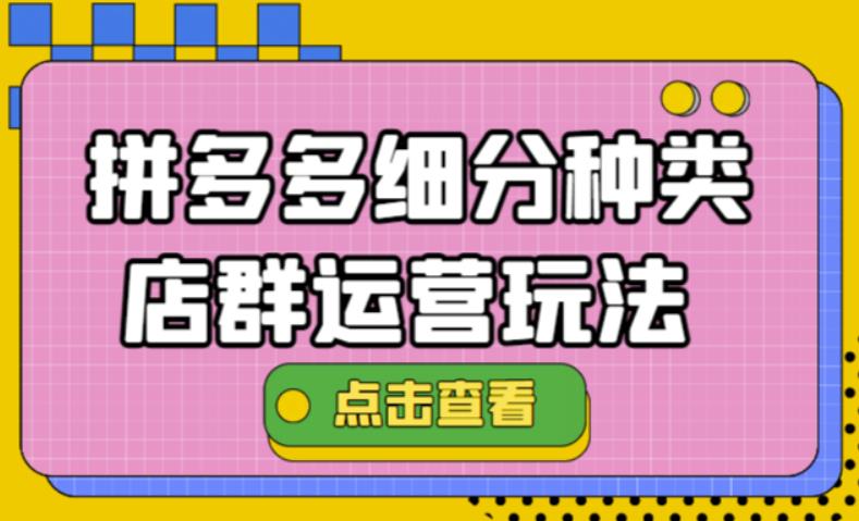 【副业项目4641期】拼多多细分种类店群运营玩法3.0，11月最新玩法，小白也可以操作-天下副业