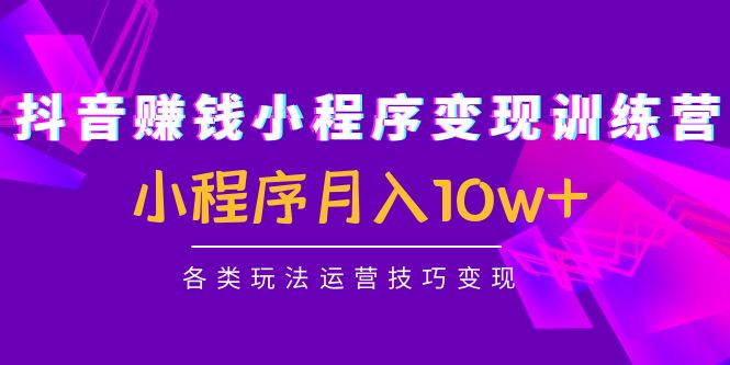【副业项目4765期】抖音赚钱小程序变现训练营：小程序月入10w+各类玩法运营技巧变现-天下副业