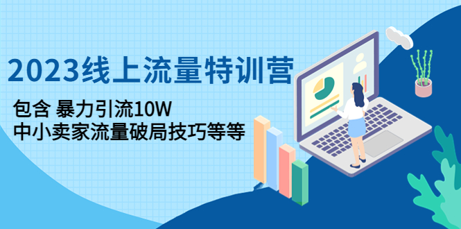 【副业项目4809期】2023线上流量特训营：包含暴力引流10W+中小卖家流量破局技巧等等-天下副业