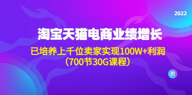 【副业项目4675期】淘系天猫电商业绩增长：已培养上千位卖家实现100W+利润（700节30G课程）-天下副业