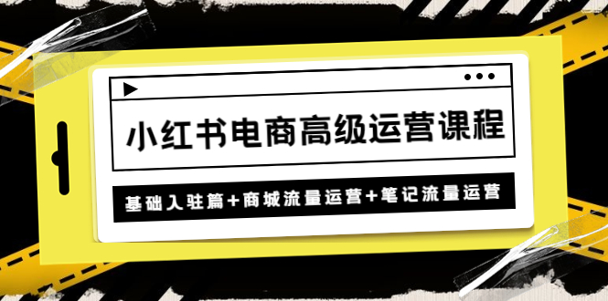 【副业项目4879期】小红书电商高级运营课程：基础入驻篇+商城流量运营+笔记流量运营-天下副业