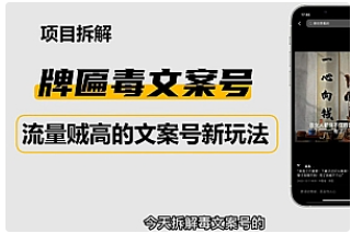 【副业项目4912期】2023抖音快手毒文案新玩法，牌匾文案号，起号快易变现-天下副业