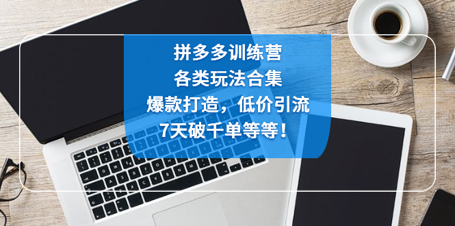 【副业项目4925期】拼多多训练营：各玩法合集，爆款打造，低价引流，7天破千单等等-天下副业