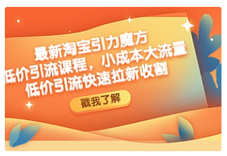 【副业项目4943期】最新淘宝引力魔方低价引流实操：小成本大流量，低价引流快速拉新收割-天下副业