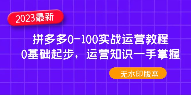 【副业项目5048期】2023拼多多0-100实战运营教程，0基础起步，运营知识一手掌握-天下副业