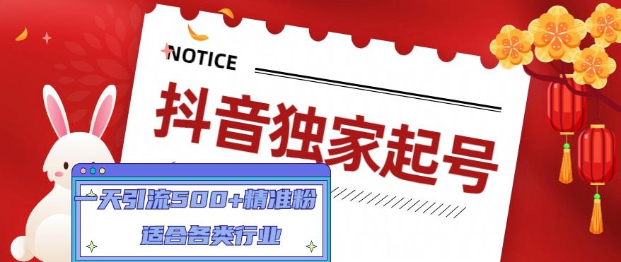 【副业项目5106期】抖音独家起号，一天引流500+精准粉，适合各类行业（9节视频课）-天下副业