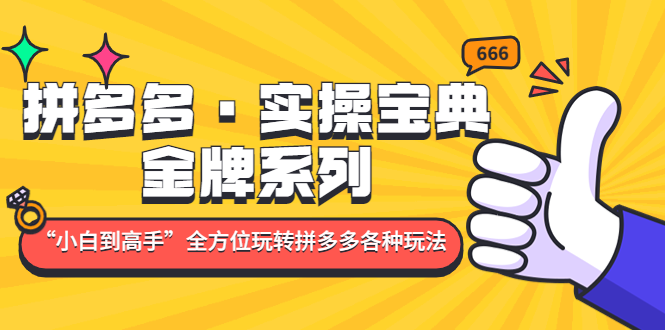 【副业项目5130期】拼多多·实操宝典：金牌系列“小白到高手”带你全方位玩转拼多多各种玩法-天下副业