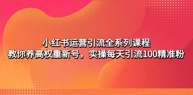 【副业项目5144期】小红书运营引流全系列课程：教你养高权重新号，实操每天引流100精准粉-天下副业