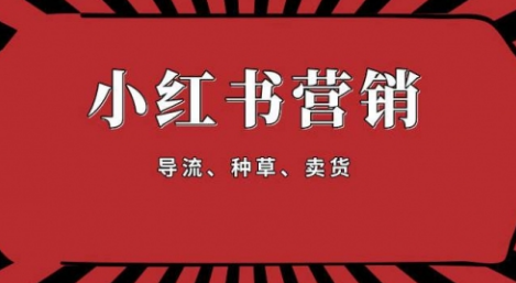 【副业项目1917期】手把手教做小红书帐号，一篇笔记涨粉10000，月入十万的博主秘笈-天下副业