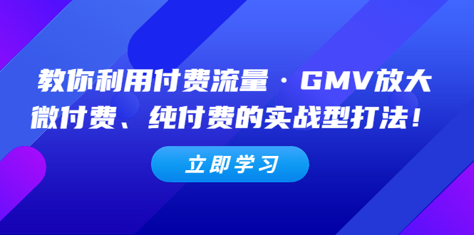 【副业项目5265期】教你利用付费流量·GMV放大，微付费、纯付费的实战型打法-天下副业