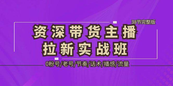 【副业项目5333期】资深·带货主播拉新实战班，0粉号/老号/节奏/话术/播感/流量-38节完整版-天下副业