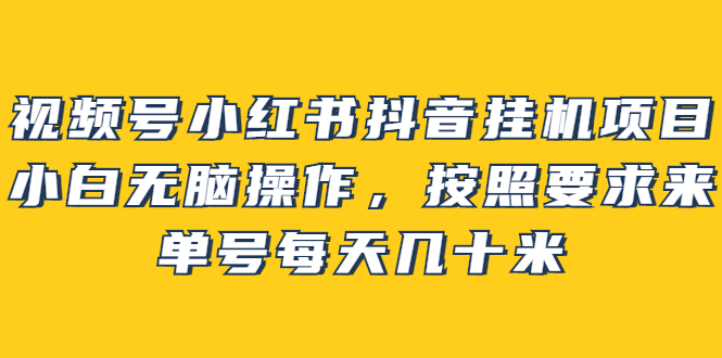 【副业项目2904期】视频号小红书抖音挂机项目，小白无脑操作，按照要求来，单号每天几十米-天下副业