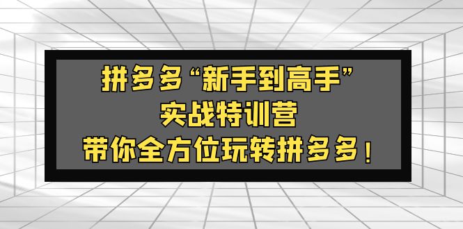 【副业项目5317期】拼多多“新手到高手”实战特训营：带你全方位玩转拼多多-天下副业