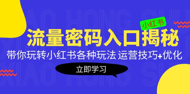 【副业项目5322期】小红书流量密码入口揭秘：带你玩转小红书各种玩法 运营技巧+优化-天下副业
