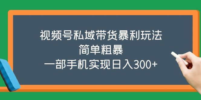 【副业项目5627期】视频号私域带货暴利玩法，简单粗暴，一部手机实现日入300+-天下副业