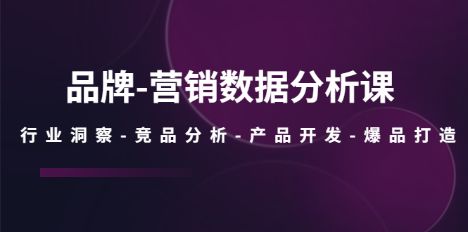 【副业项目5644期】品牌-营销数据分析课，行业洞察-竞品分析-产品开发-爆品打造-天下副业