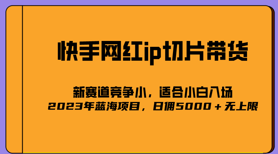 【副业项目5464期】2023爆火的快手网红IP切片，号称日佣5000＋的蓝海项目，二驴的独家授权-天下副业