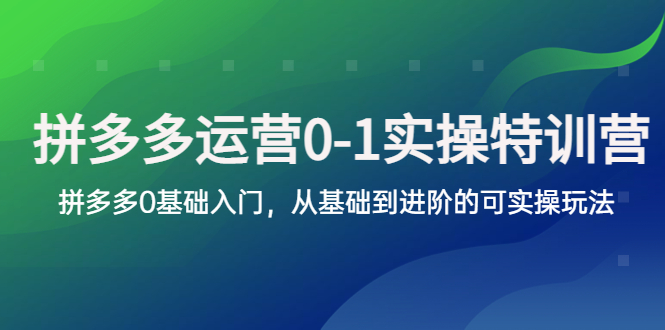 【副业项目5801期】拼多多-运营0-1实操训练营，拼多多0基础入门，从基础到进阶的可实操玩法-天下副业