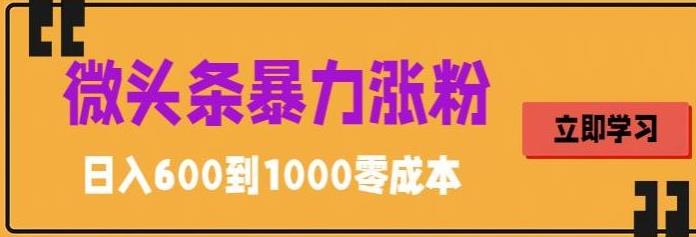 【副业项目5970期】微头条暴力涨粉技巧搬运文案就能涨几万粉丝，简单0成本，日赚600-天下副业