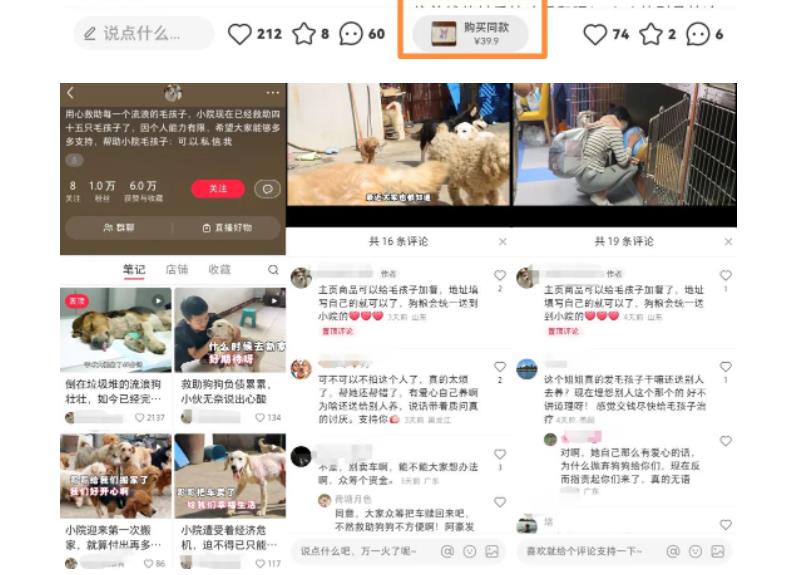 【副业项目5898期】小红书蓝海类赛道：小动物打赏与购买变现副业项目，一条龙玩法分享给你！-天下副业