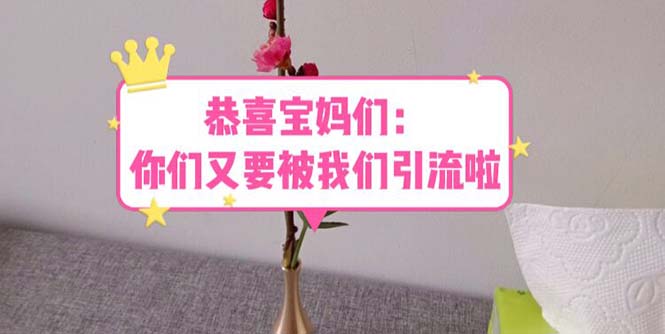 【副业项目5918期】恭喜宝妈们：你们又要被我们引流了（教程+222g资料）-天下副业