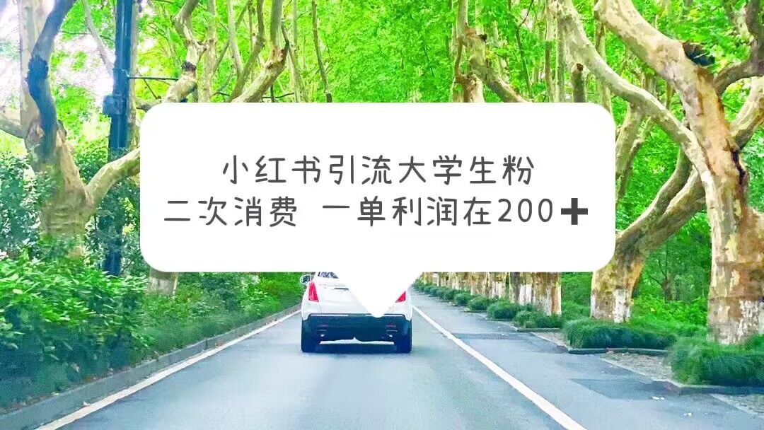 【副业项目5937期】小红书引流大学生粉，变现项目，一单利润在200+（教程+资源）-天下副业