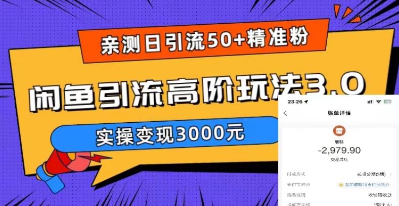 【副业项目5795期】实测日引50+精准粉，闲鱼引流高阶玩法3.0，实操变现3000元-天下副业