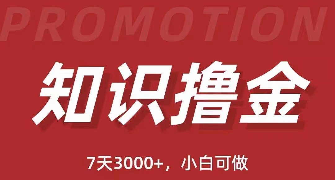 【副业项目5702期】抖音知识撸金项目：简单粗暴日入1000+执行力强当天见收益(教程+资料)-天下副业