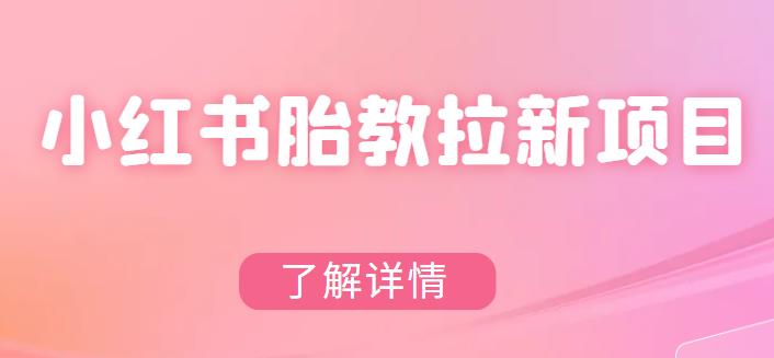 【副业项目6099期】小红书胎教网盘拉新项目，可在私域变现两次（作品制作教程+素材）-天下副业