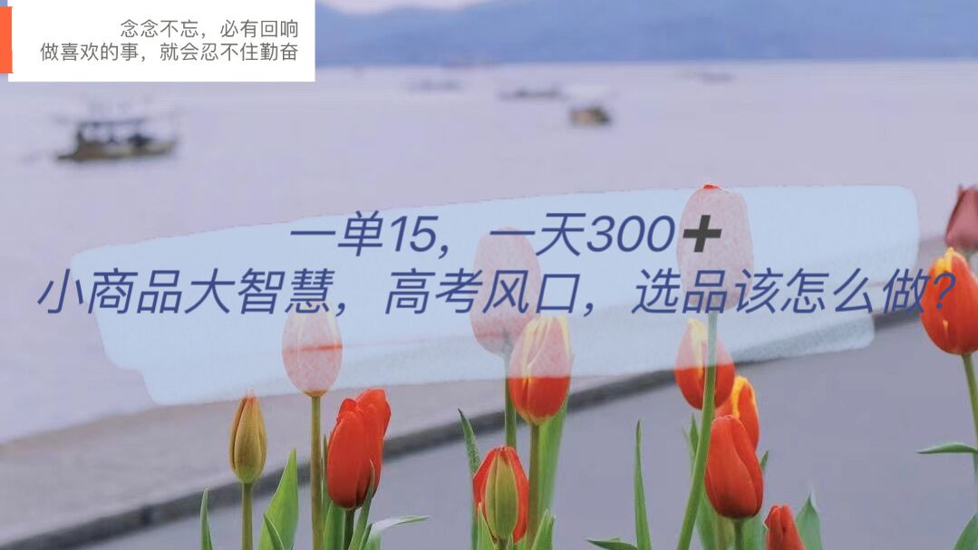 【副业项目6119期】一单15，一天300+，小商品大智慧，高考风口，选品该怎么布局-天下副业