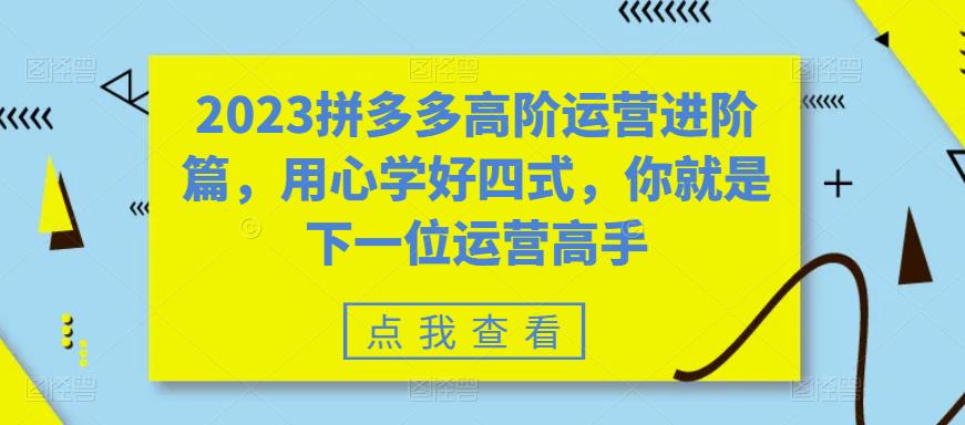 【副业项目6241期】2023拼多多高阶运营进阶篇，用心学好四式，你就是下一位运营高手-天下副业