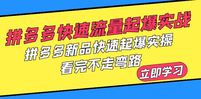 【副业项目6310期】拼多多-快速流量起爆实战，拼多多新品快速起爆实操，看完不走弯路-天下副业