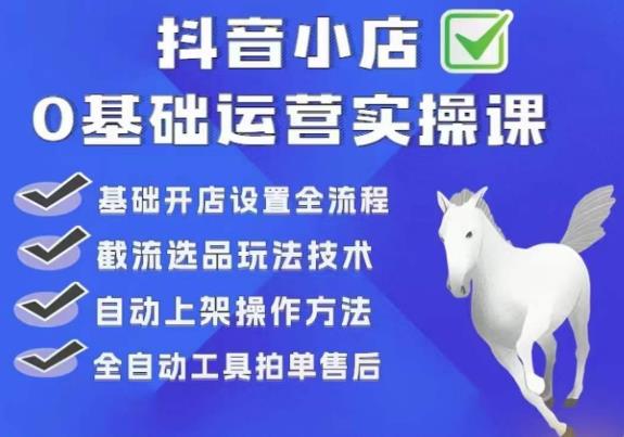 【副业项目6317期】白马电商·0基础抖店运营实操课，基础开店设置全流程，截流选品玩法技术-天下副业