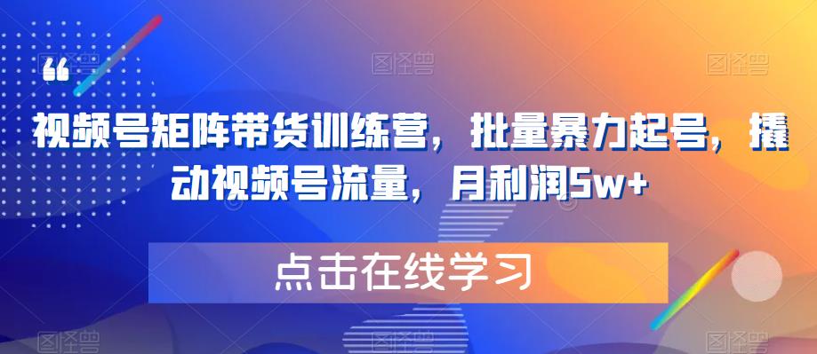 【副业项目6254期】视频号矩阵带货训练营，批量暴力起号，撬动视频号流量，月利润5w+-天下副业