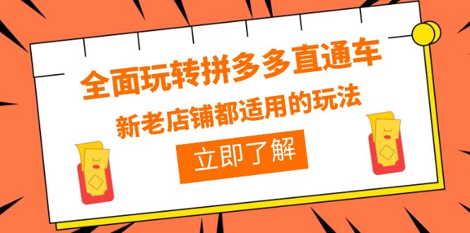 【副业项目6359期】全面玩转拼多多直通车，新老店铺都适用的玩法（12节精华课）-天下副业