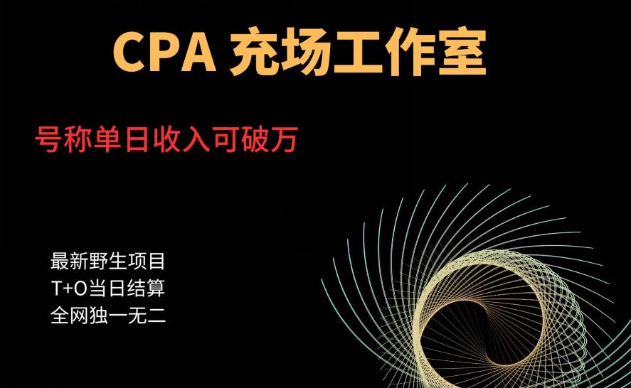 【副业项目6075期】cpa充场工作室，号称单日收入10000+（揭秘）-天下副业