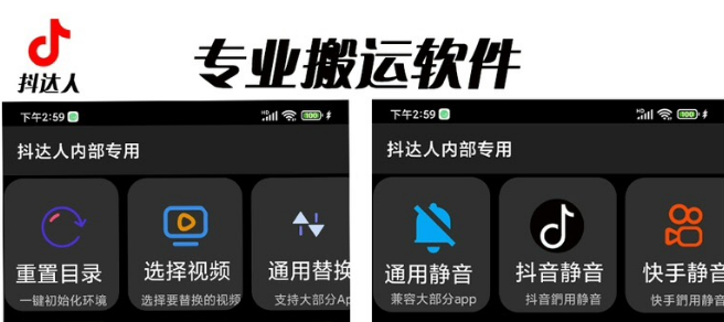 【副业项目6743期】对外收费699抖音傻瓜式一键搬运，起号专用5分钟一个视频《软件+详细教程》-天下副业